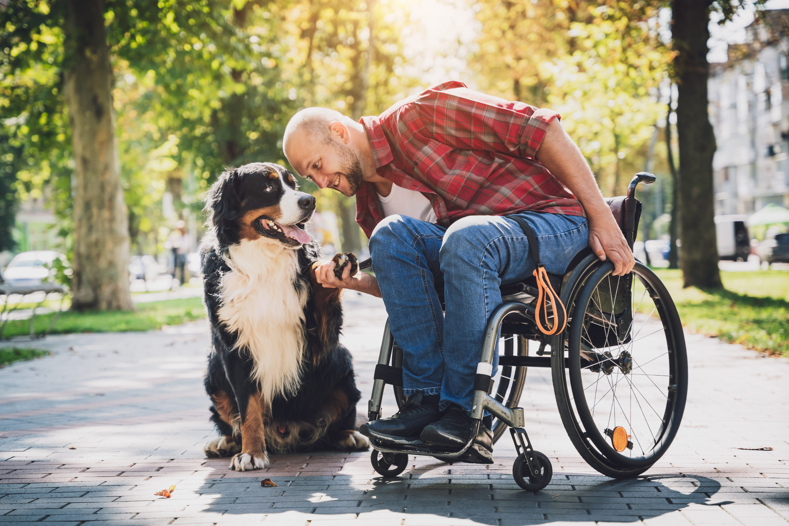 Man in wheel chair with dog