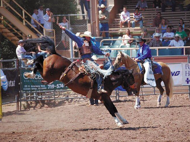 Rodeo with cowboy on a bucking horse in a fenced in area for show