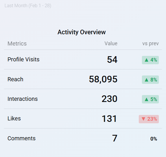 Instagram - January 2024 - Activity Overview
